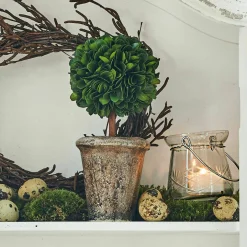 Alberello decorativo Aube