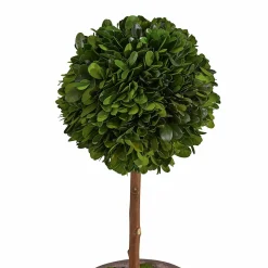 Alberello decorativo Aube