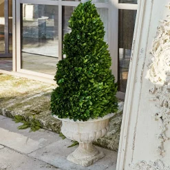 Albero decorativo Humbria
