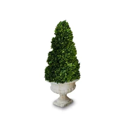Albero decorativo Humbria