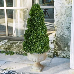 Albero decorativo Humbria