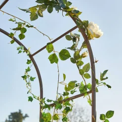 Arco da giardino Dimarus
