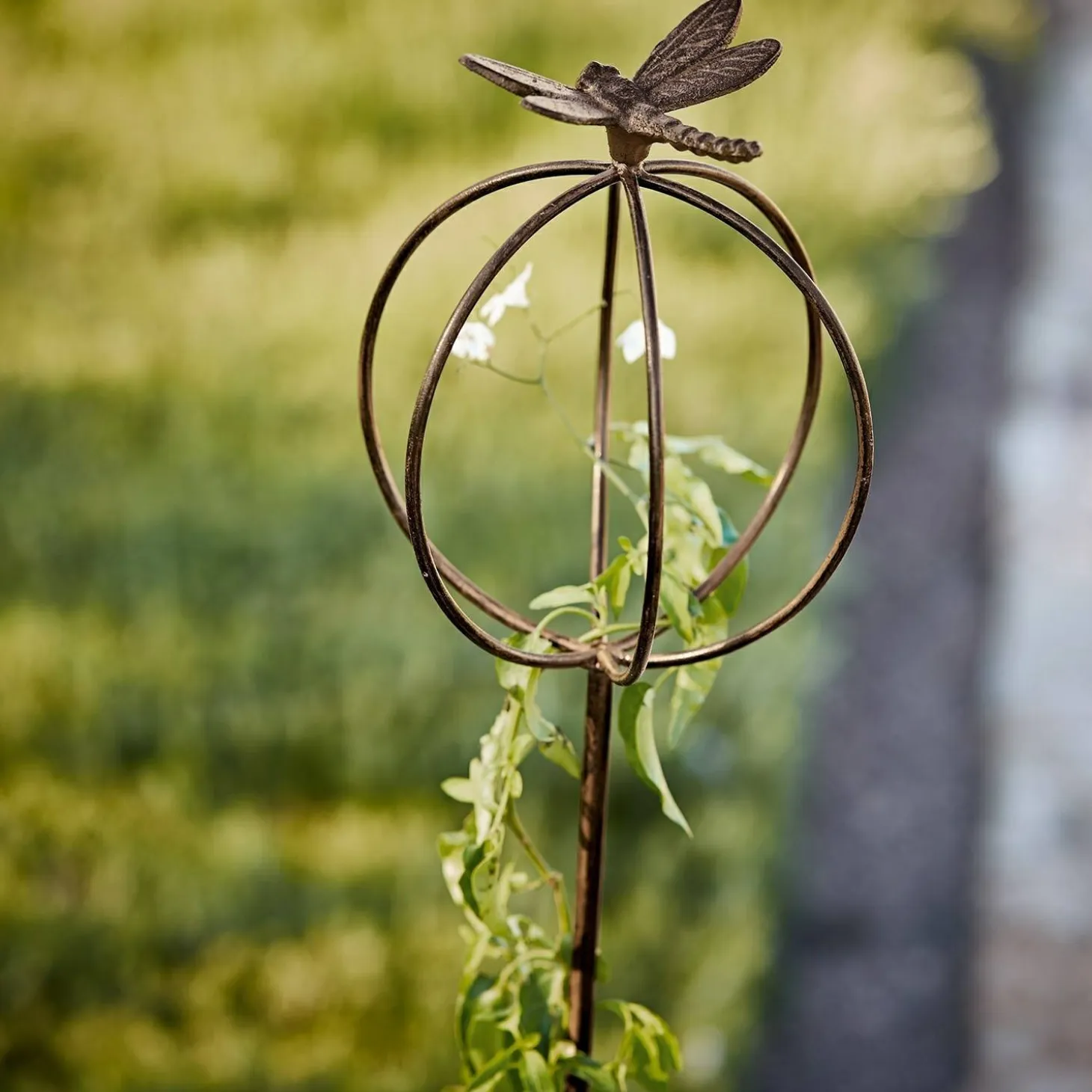 Asta da giardino Libelle