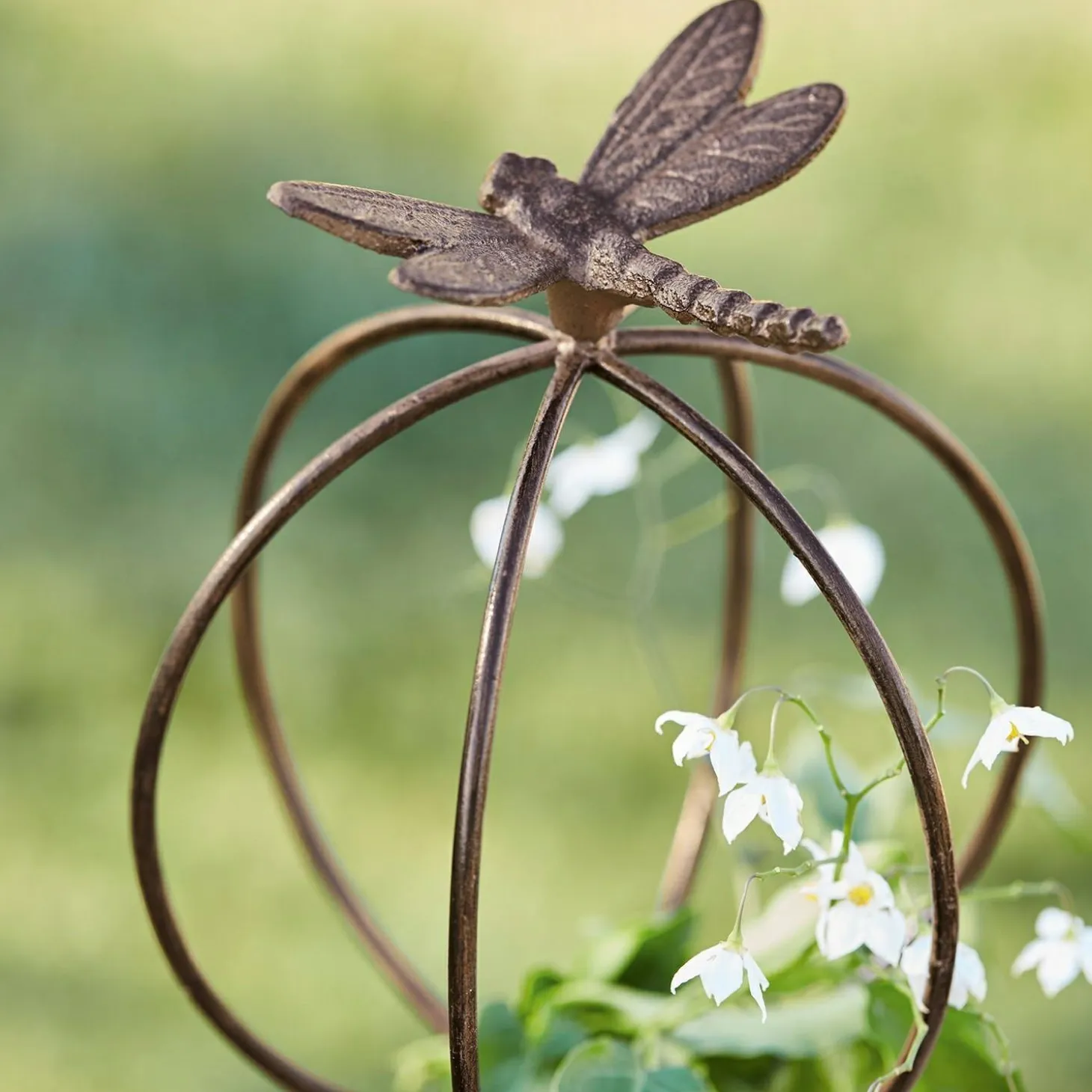 Asta da giardino Libelle