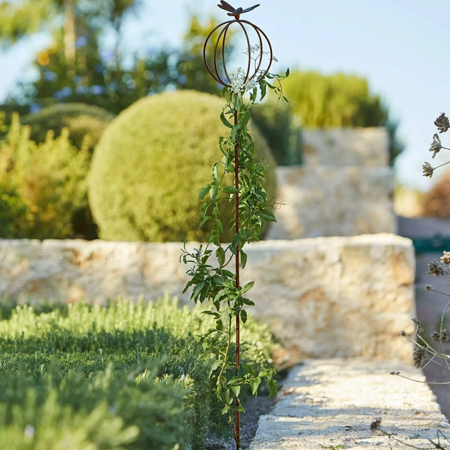 Asta da giardino Libelle