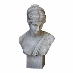Busto Castolio