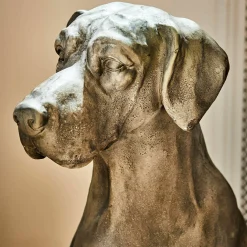 Cane decorativo Jules