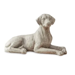 Cane Socrate