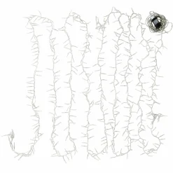 Catena luminosa Aedara