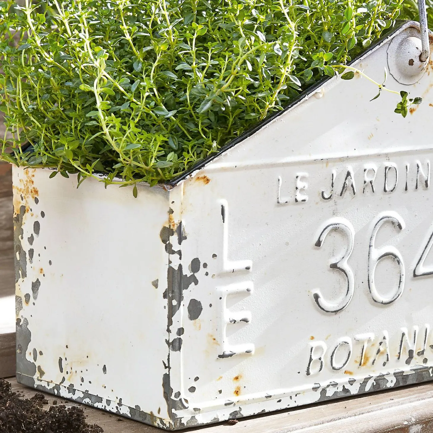 Cesto Botanique