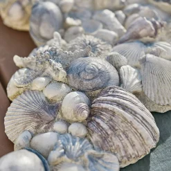 Conchiglie decorative Potnarvin