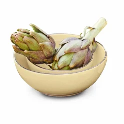 Coppia di ciotole Biarré