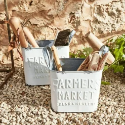 Coppia di contenitori Market