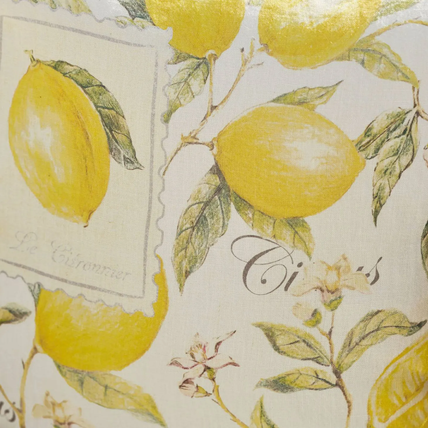 Coppia di copricuscini Lantagenet