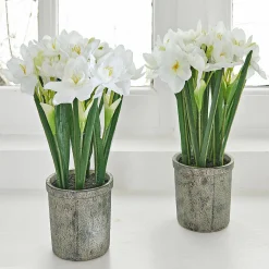 Coppia di fiori decorativi Soralen