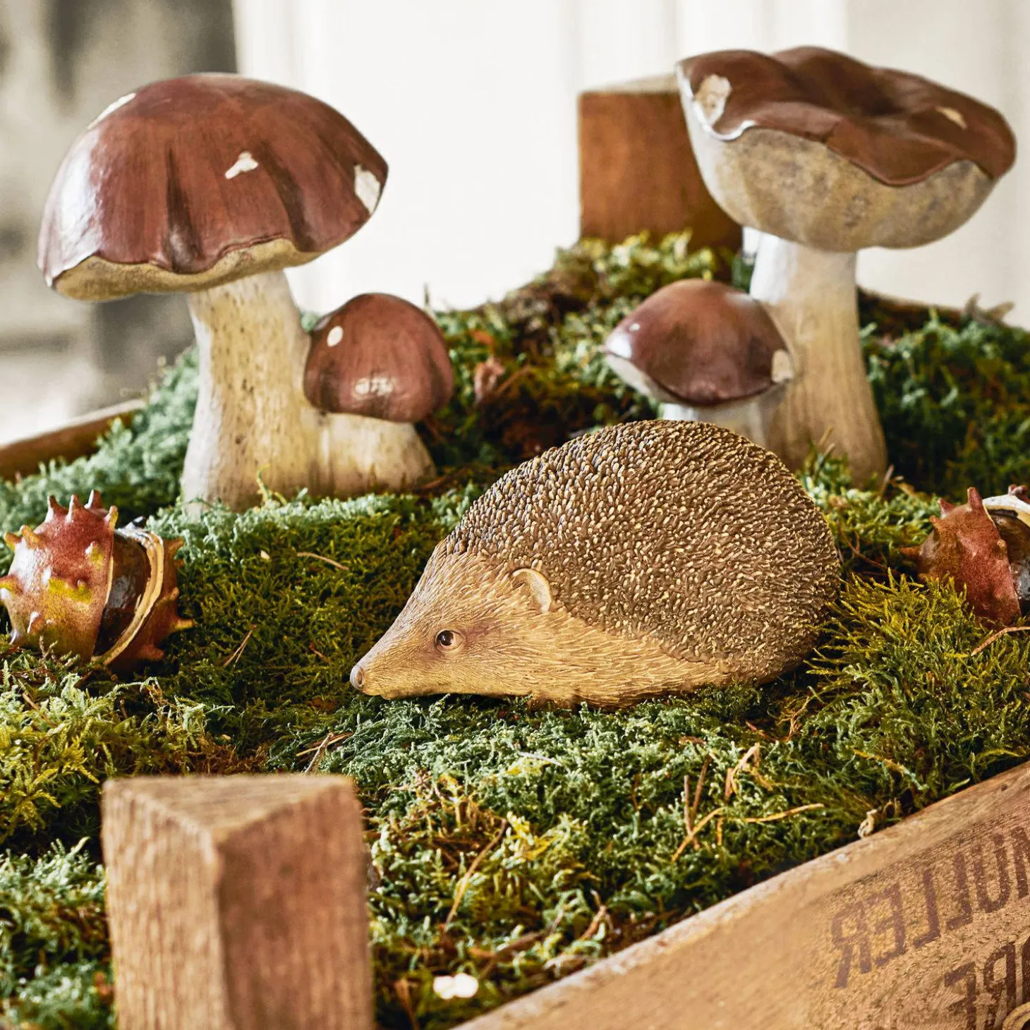 Coppia di funghi decorativi Beenie