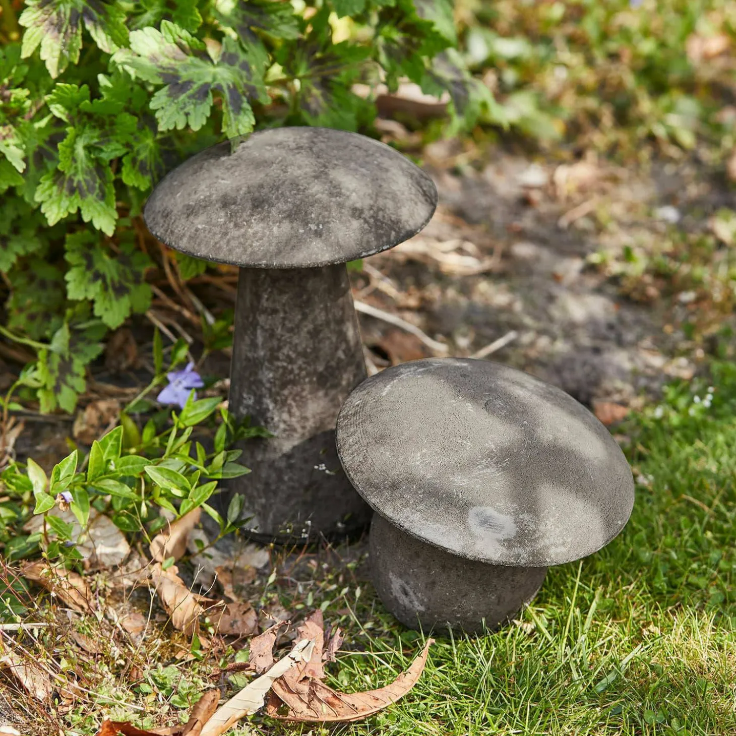 Coppia di funghi decorativi Coudrelle