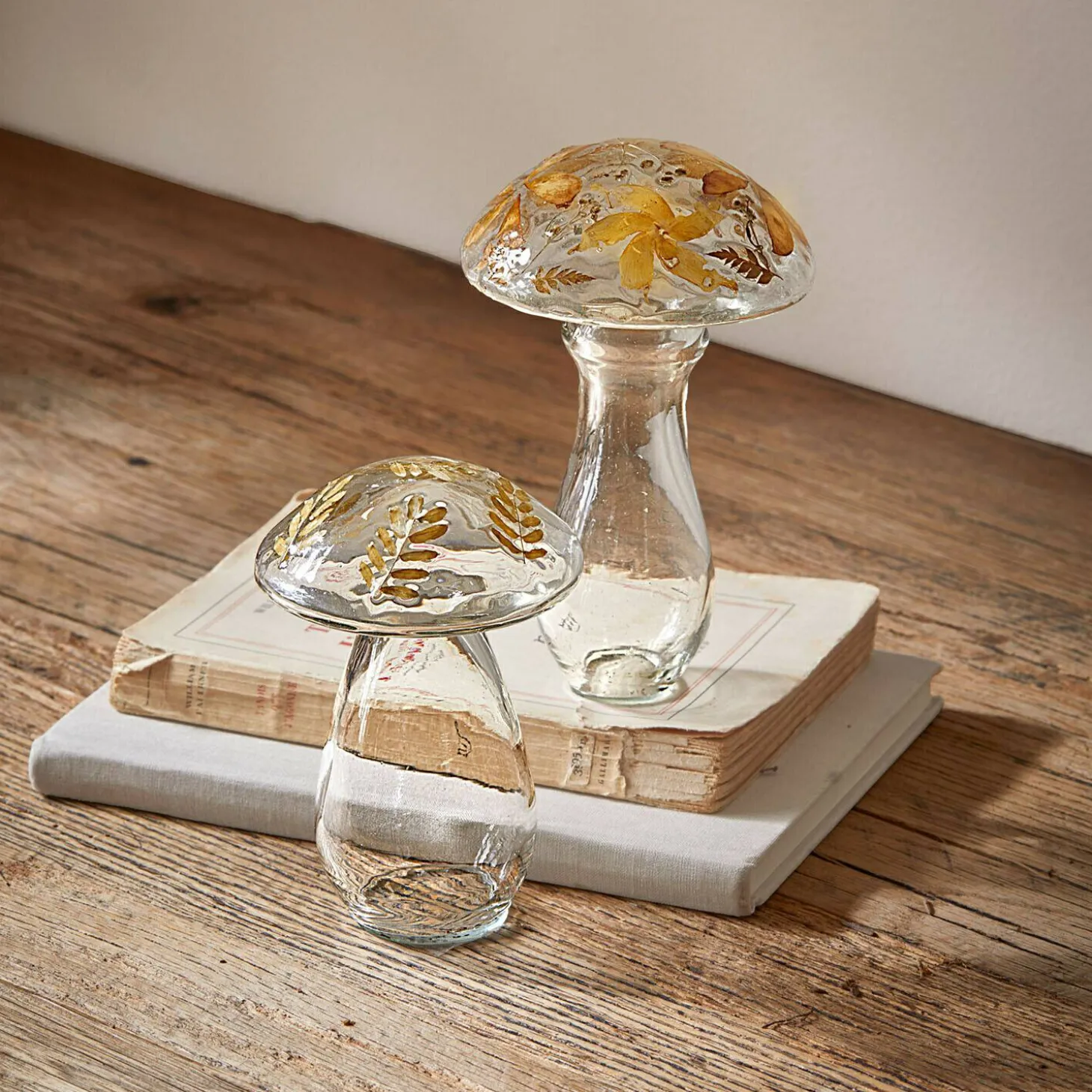 Coppia di funghi decorativi Émurise