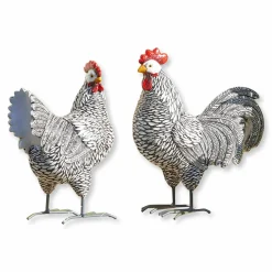 Coppia di galline decorative Mannis
