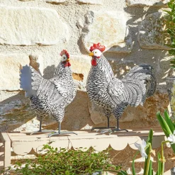 Coppia di galline decorative Mannis