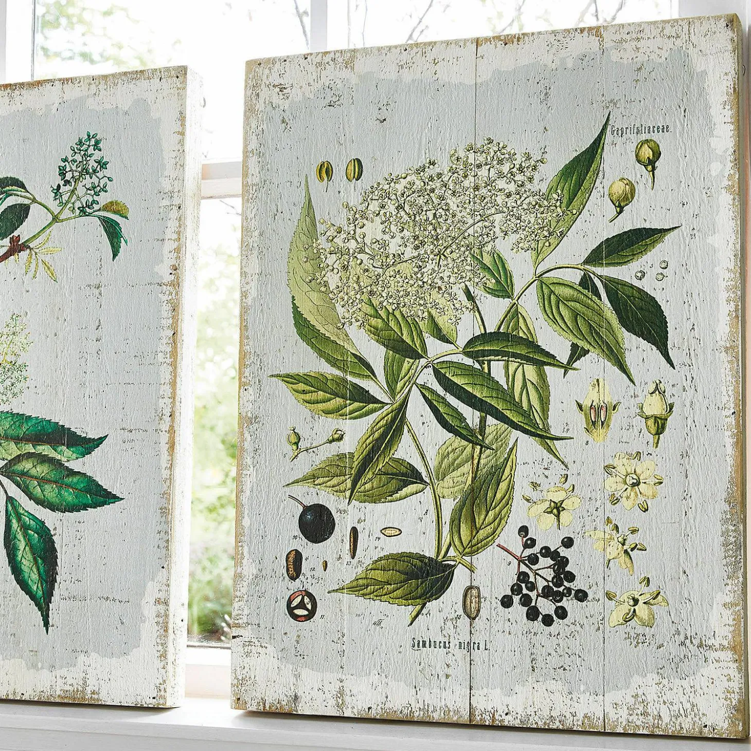 Coppia di quadretti decorativi Loanne