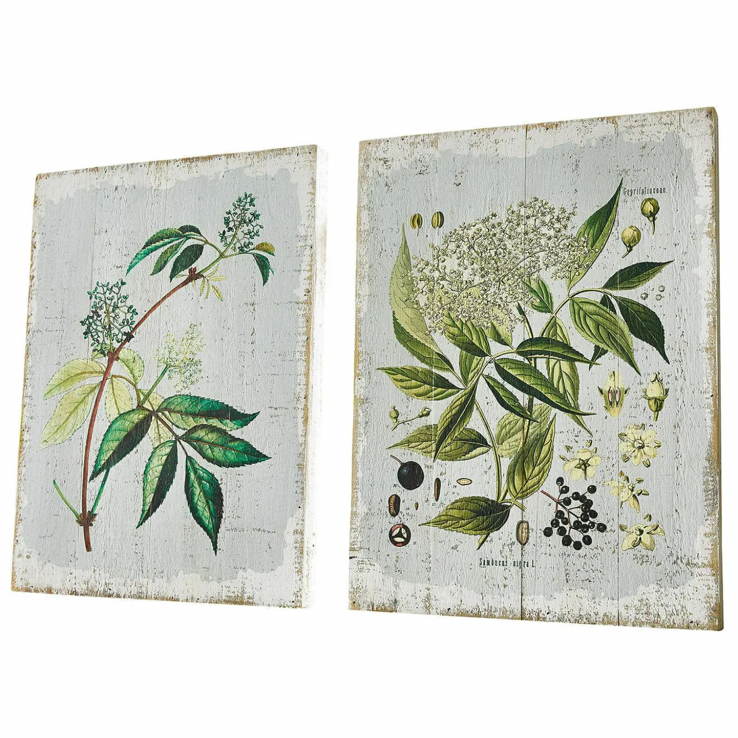 Coppia di quadretti decorativi Loanne