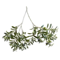 Coppia di rametti d’ulivo decorativi Olives