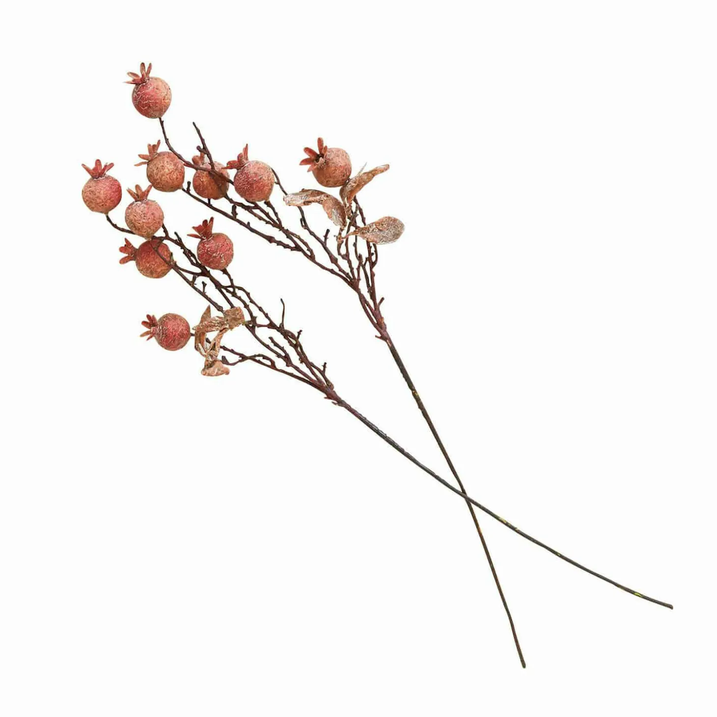 Coppia di rami decorativi Salviero