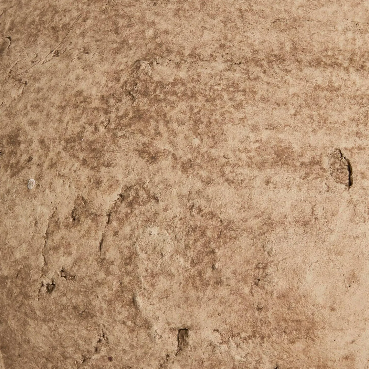 Coppia di vasi decorativi Kelvador