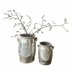 Coppia di vasi Eleganteque