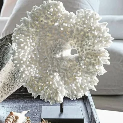 Corallo decorativo Condière
