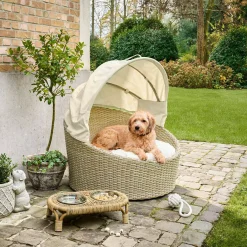 Cuccia per animali per interni ed esterni Brinelza