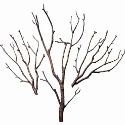 Decorazione da parete Osservante