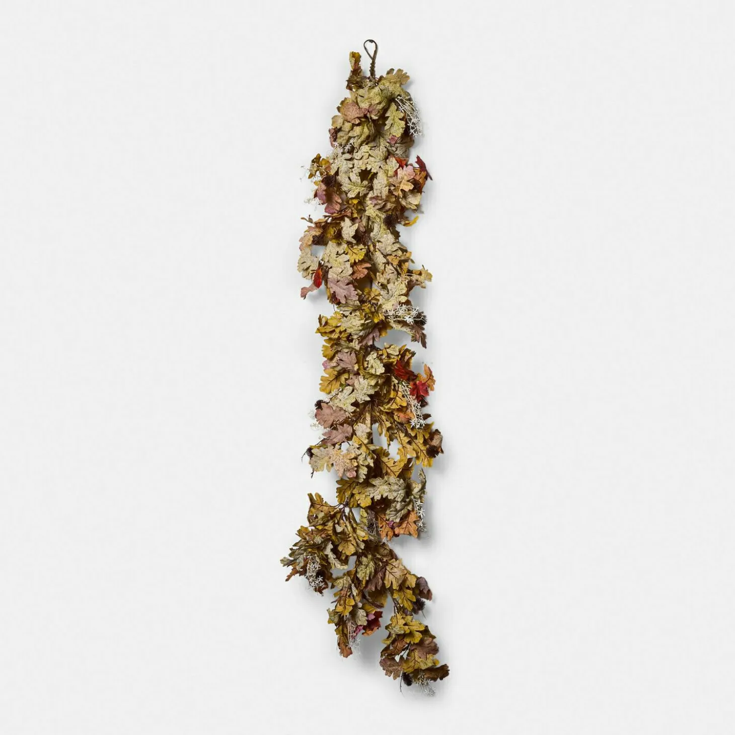 Festone Fleurimont