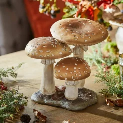 Funghi decorativi Harvelle