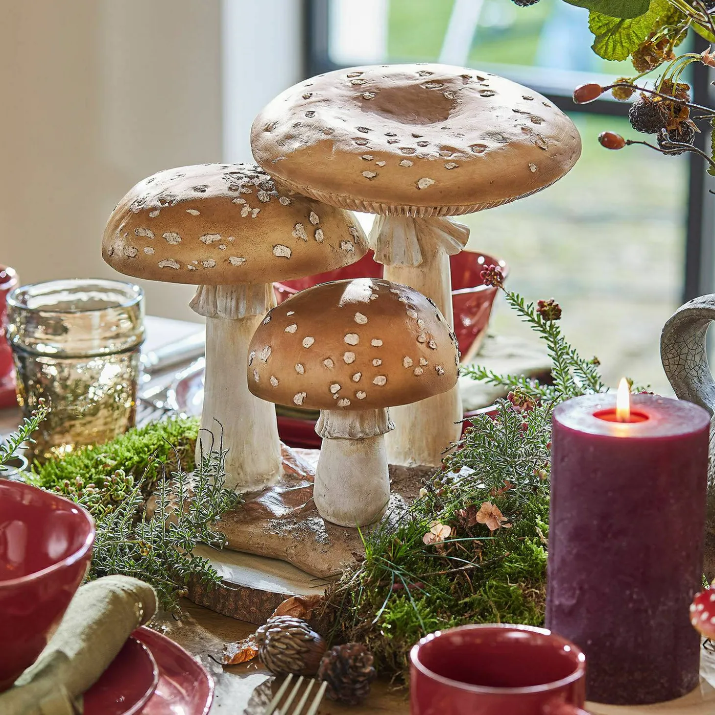 Funghi decorativi Harvelle