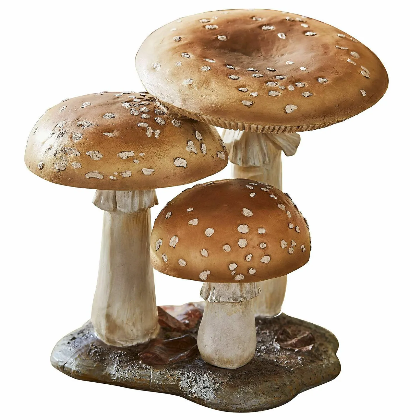 Funghi decorativi Harvelle
