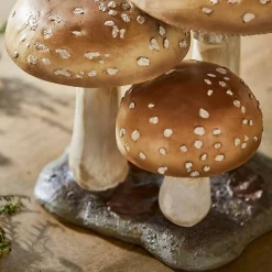 Funghi decorativi Harvelle