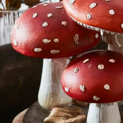 Funghi decorativi Lupton