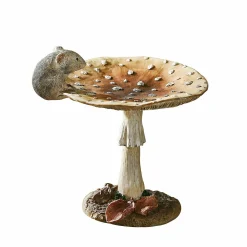 Fungo decorativo Isolise