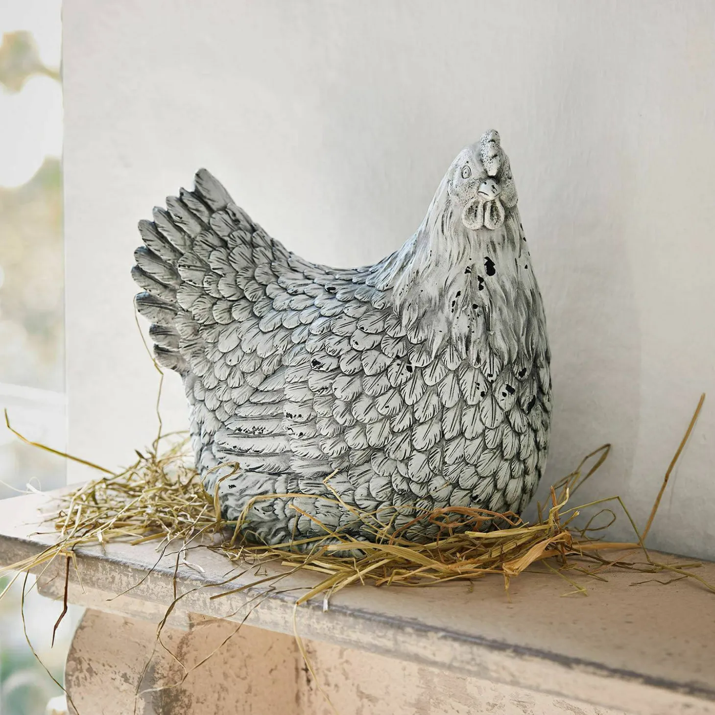 Gallina decorativa Delmonico