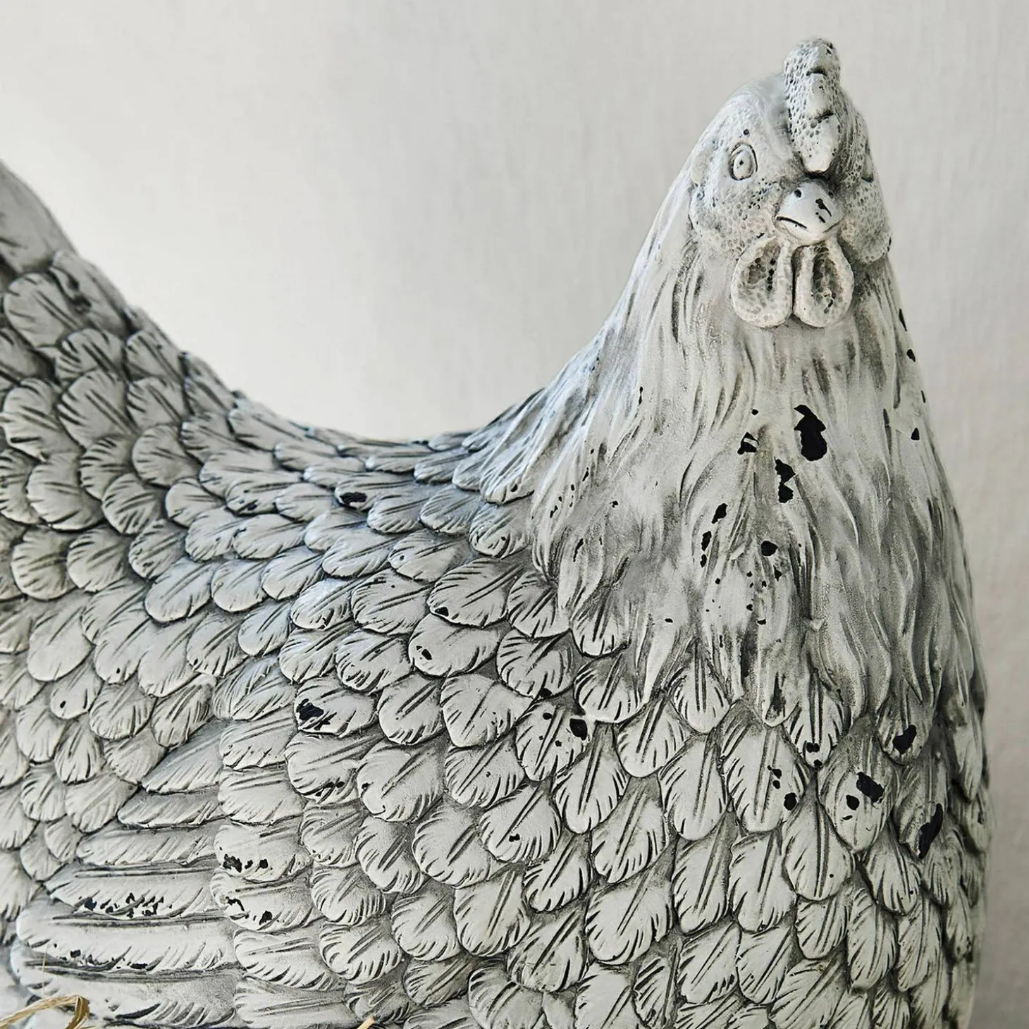 Gallina decorativa Delmonico
