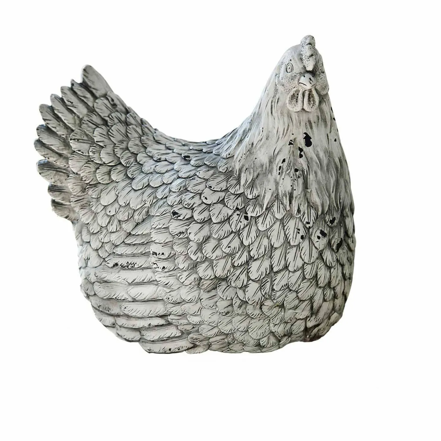 Gallina decorativa Delmonico