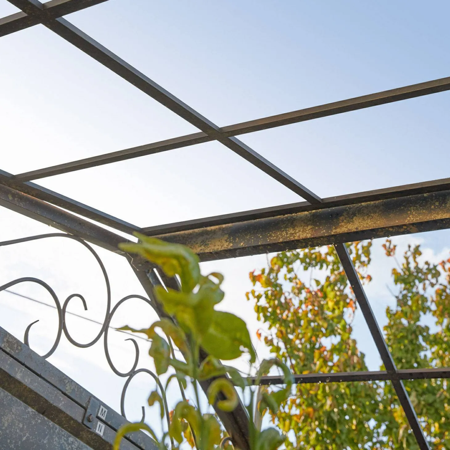 Gazebo Essone
