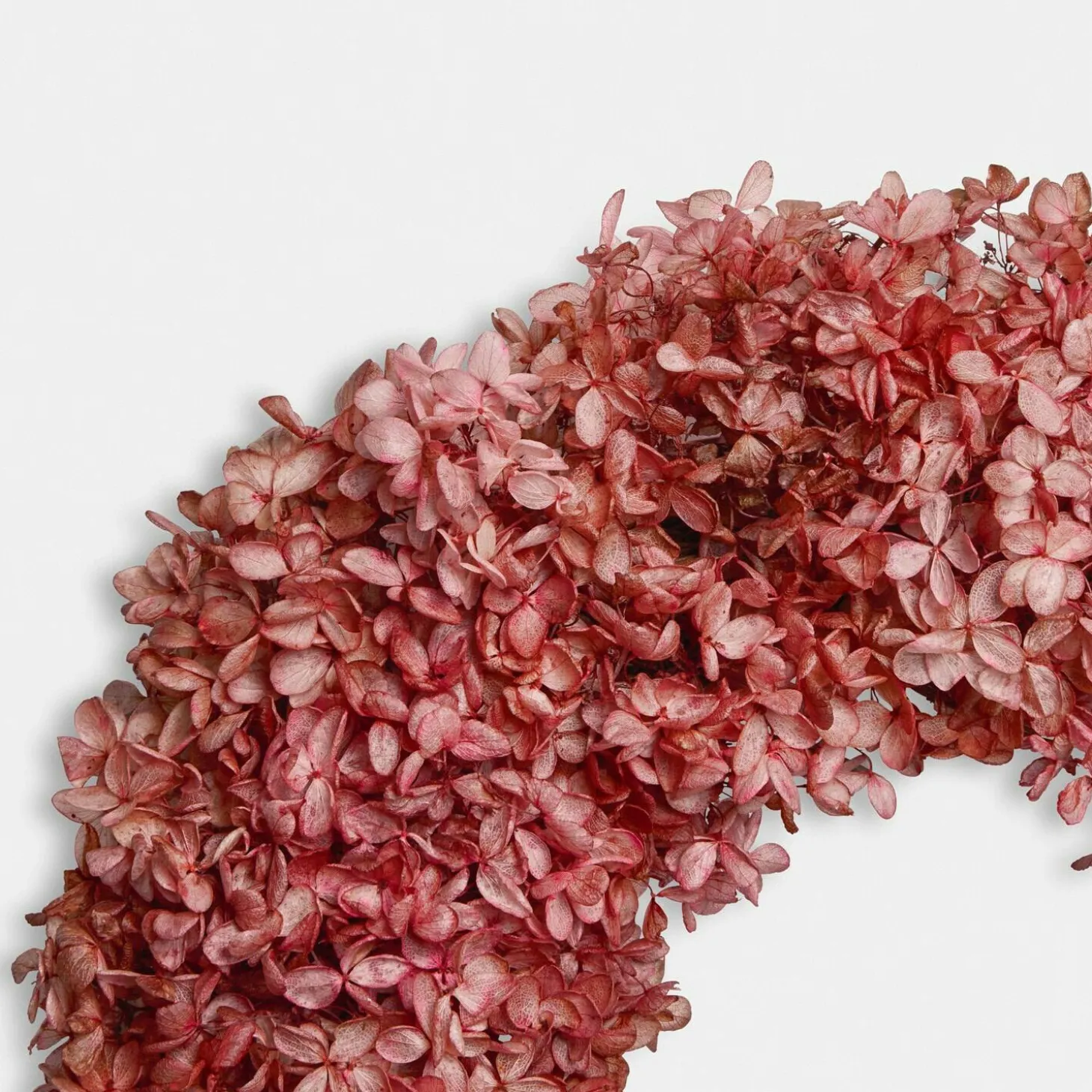 Ghirlanda di fiori secchi Amélorie