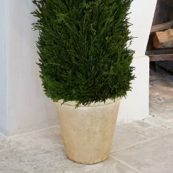 Pianta in vaso decorativa Arras