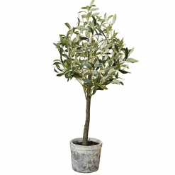 Pianta in vaso decorativa Mariuccia