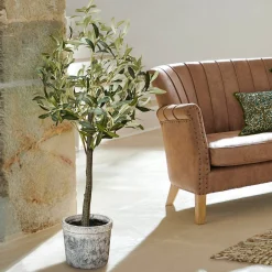 Pianta in vaso decorativa Mariuccia