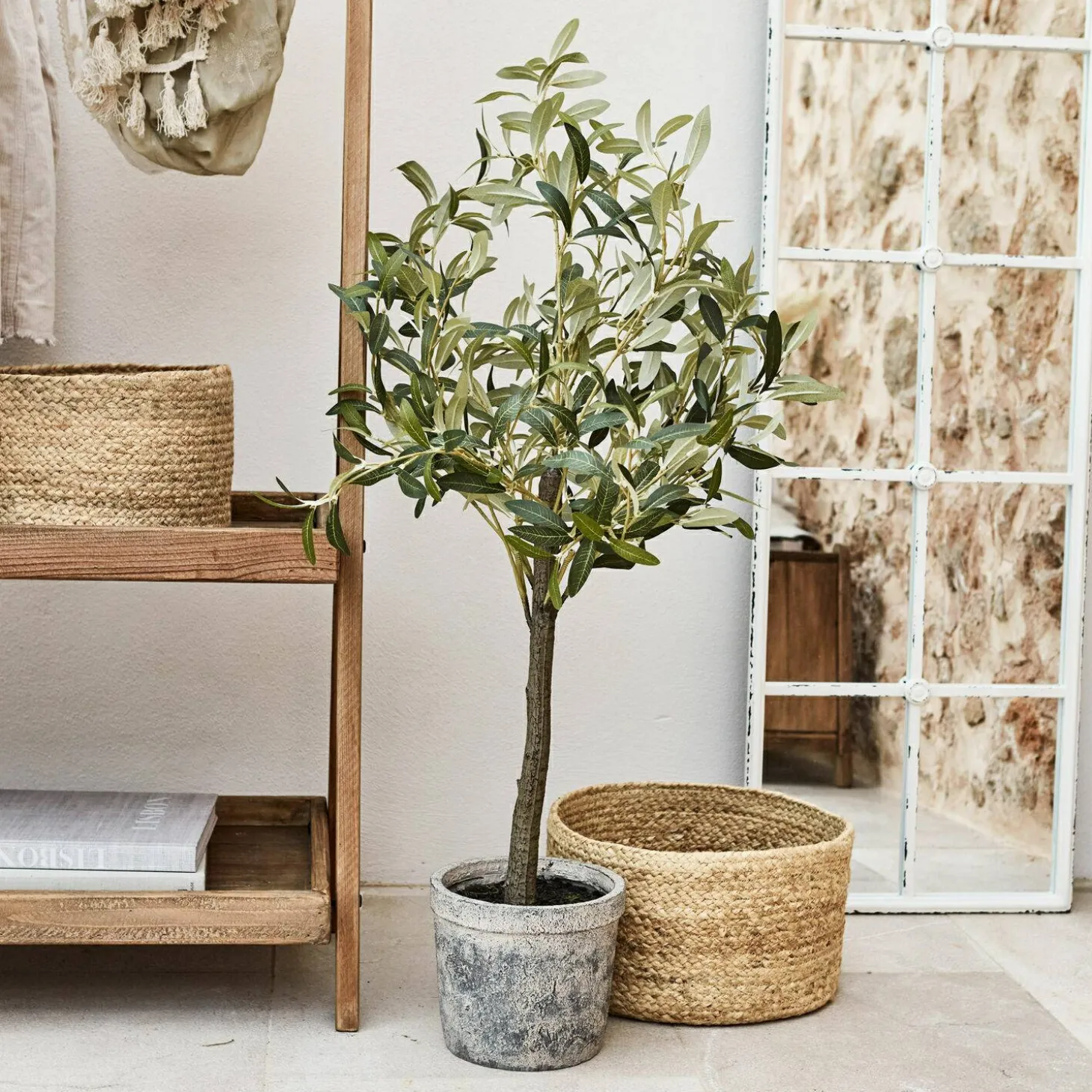 Pianta in vaso decorativa Mariuccia