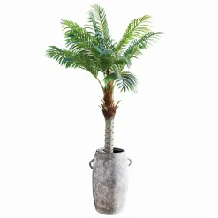 Pianta in vaso decorativa Zephyriel